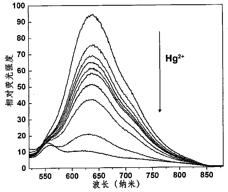 Fluorescent detection probe for mercury ions and application method thereof