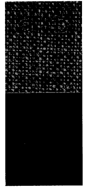 Fluorescent detection probe for mercury ions and application method thereof