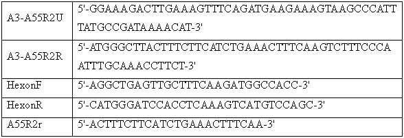 Preparation method and application of human adenovirus type 3 displaying human adenovirus type 55 neutralizing epitope vaccine candidate strain