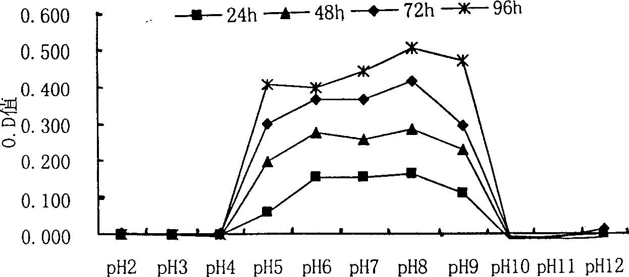 Method for controlling bacterial storage damage of winter-date fruit