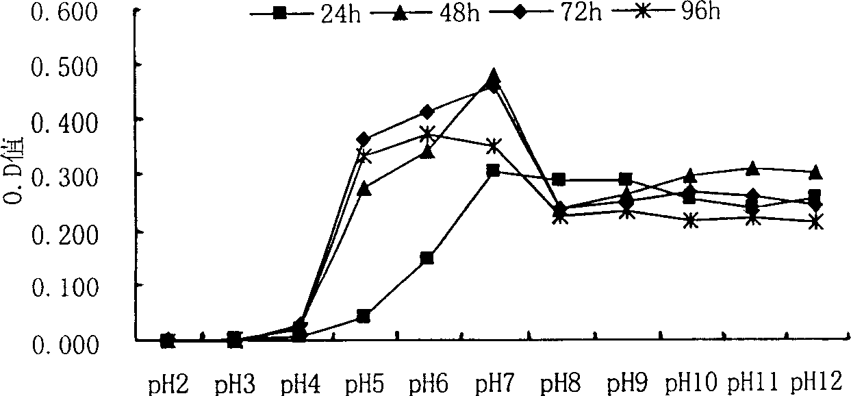 Method for controlling bacterial storage damage of winter-date fruit