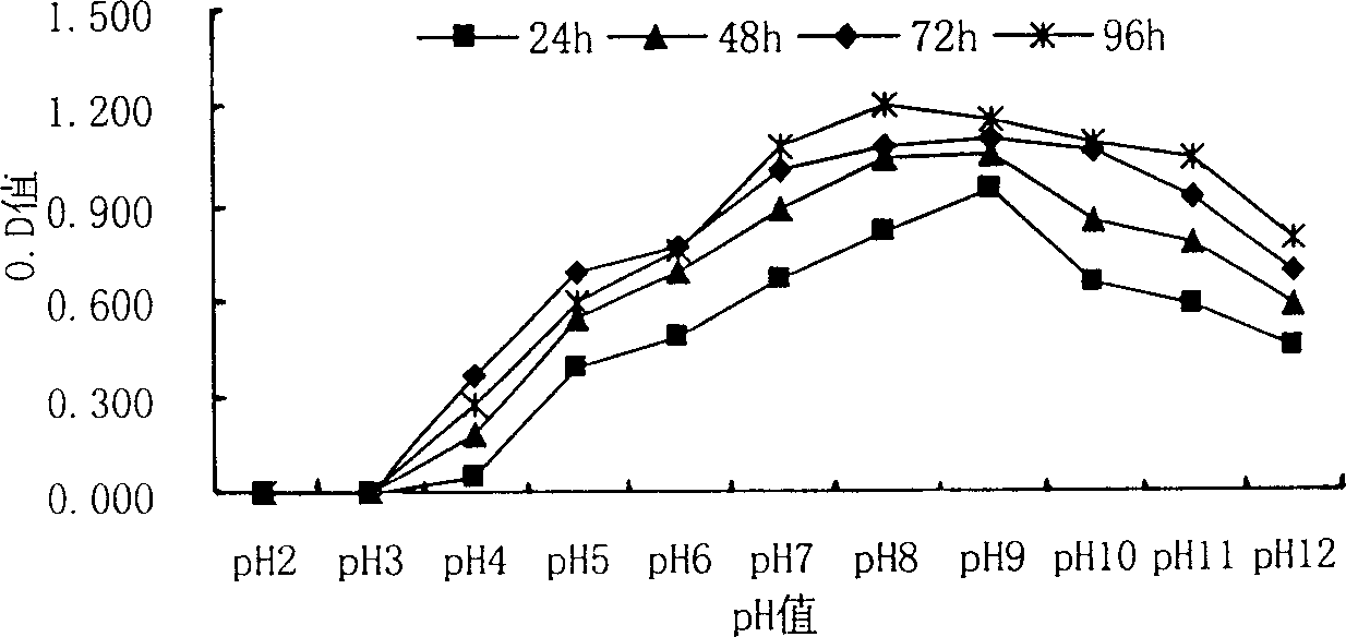 Method for controlling bacterial storage damage of winter-date fruit