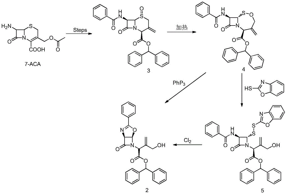 A kind of allyl position hydroxylation prepares the method for the key intermediate of oxycephem antibiotics