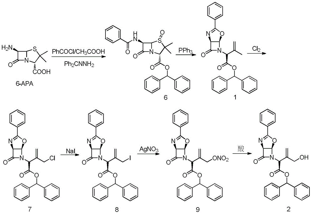 A kind of allyl position hydroxylation prepares the method for the key intermediate of oxycephem antibiotics