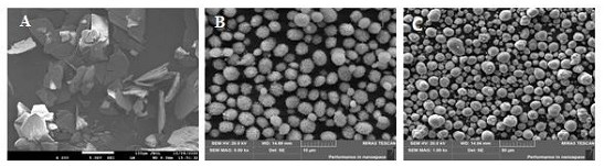 Method for efficiently recycling and regenerating positive electrode material of waste lithium ion battery