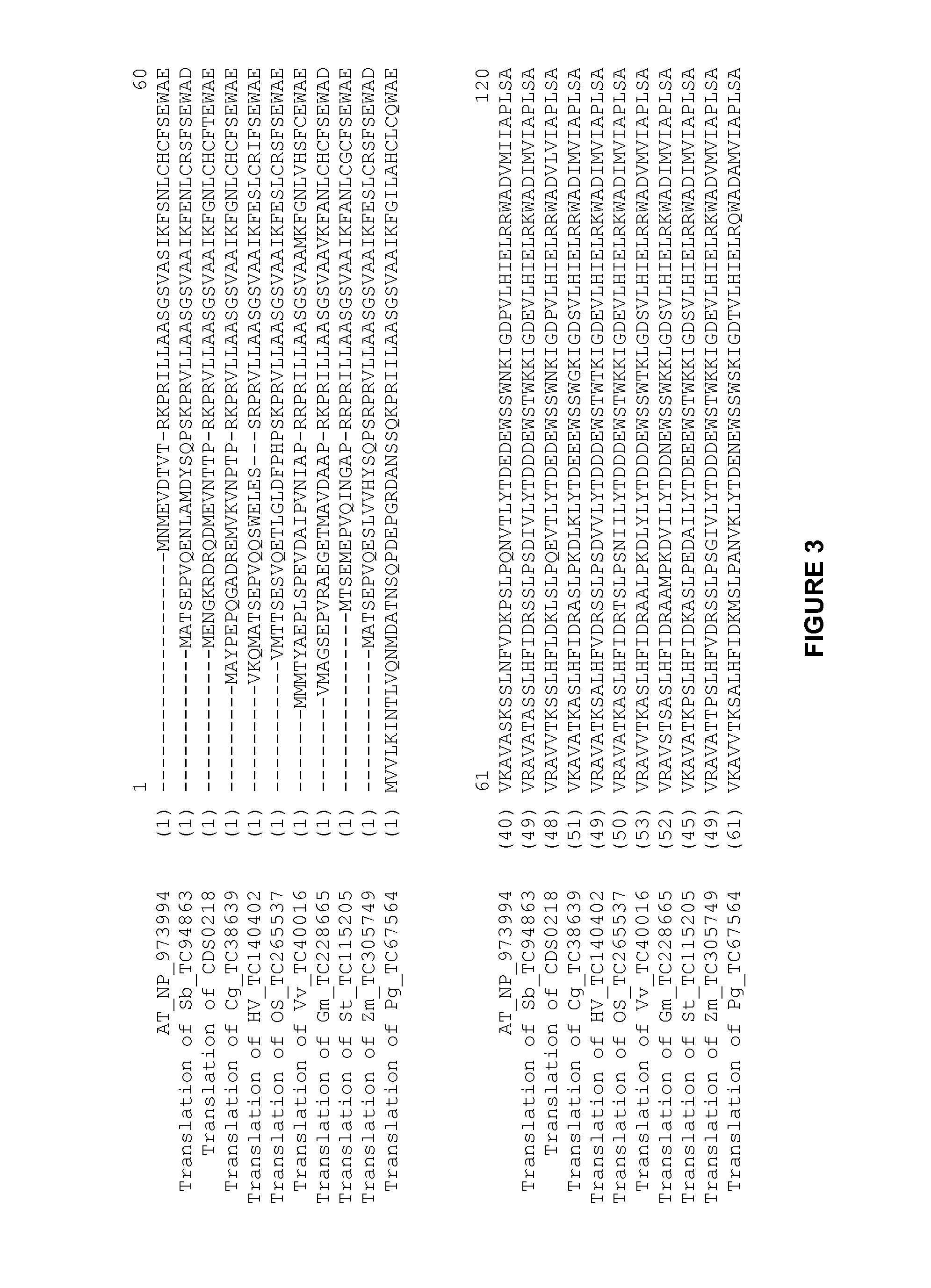 Plants Having Enhanced Yield-Related Traits and a Method for Making the Same