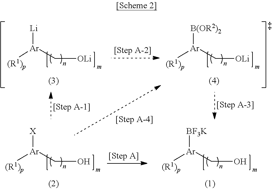 Potassium Organotrifluoroborate Derivative and a Production Method Therefor