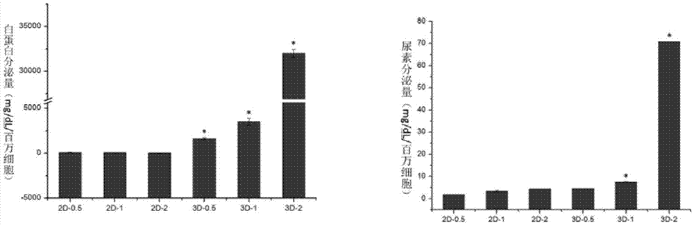 Construction method and application of in-vitro three-dimensional human liver tissue