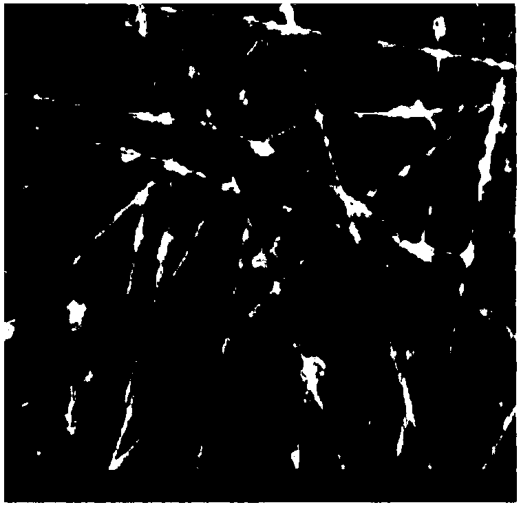 Preparation method of TiO2/PAN nanofiber membrane