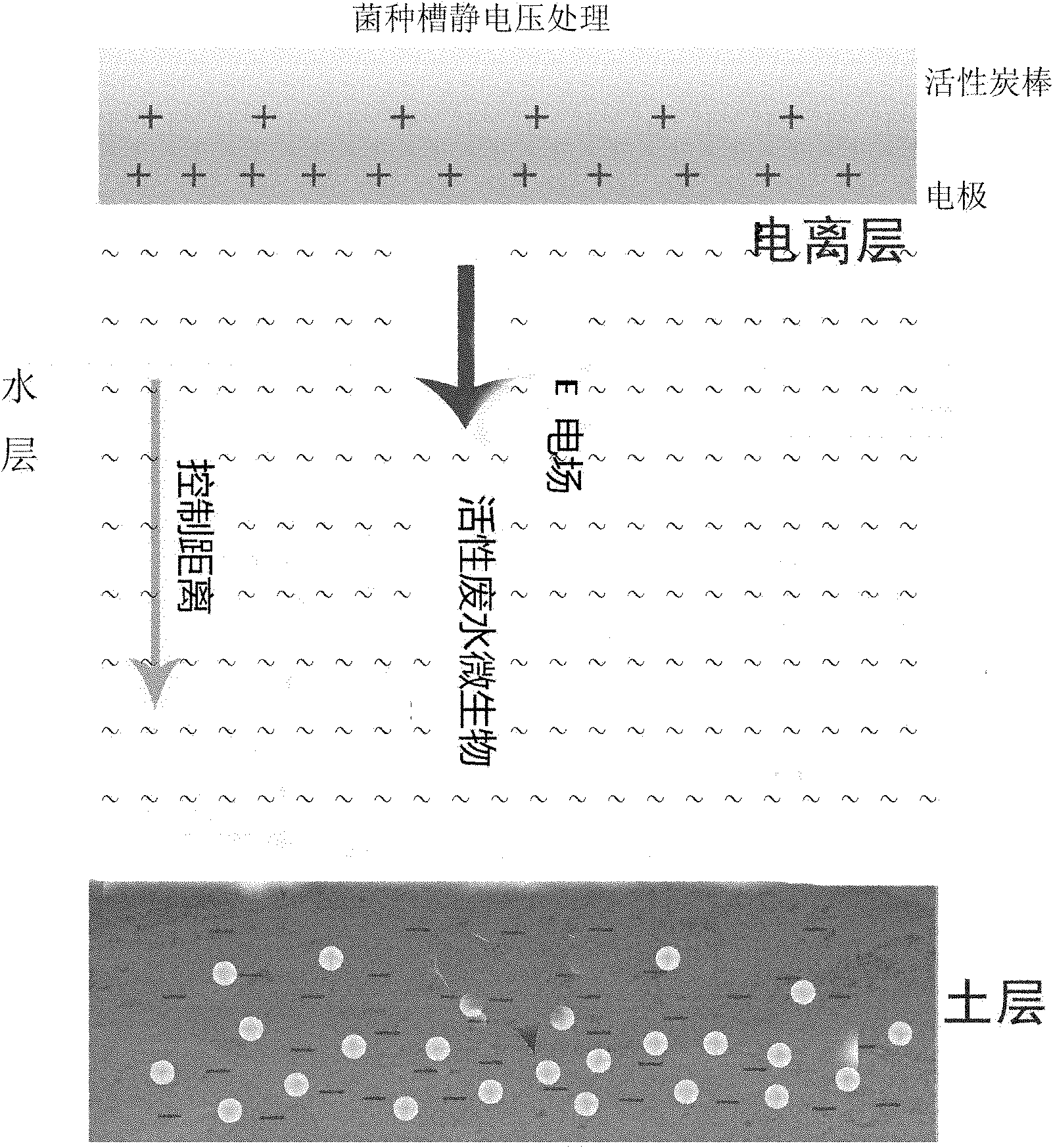 Regeneration method of activated carbon in organosilicon wastewater treatment