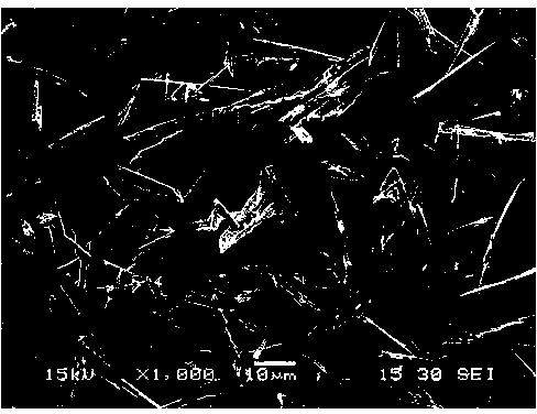 Rodlike bismuth oxide and preparation method thereof