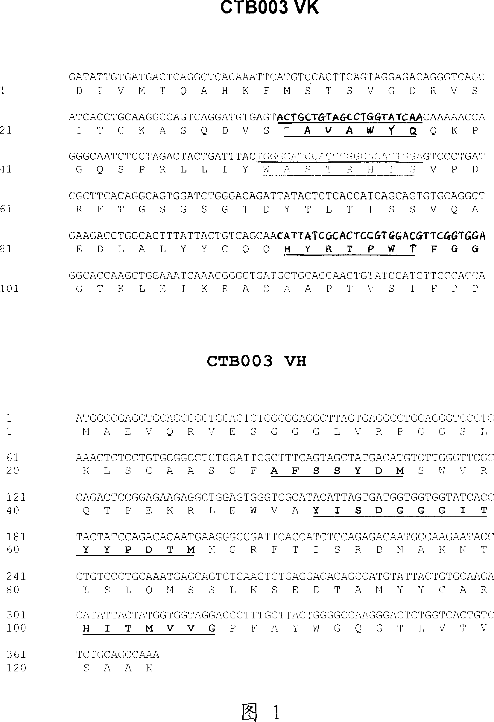 TRAIL receptor I and/or TRAIL receptor 2 specific antibody and its use