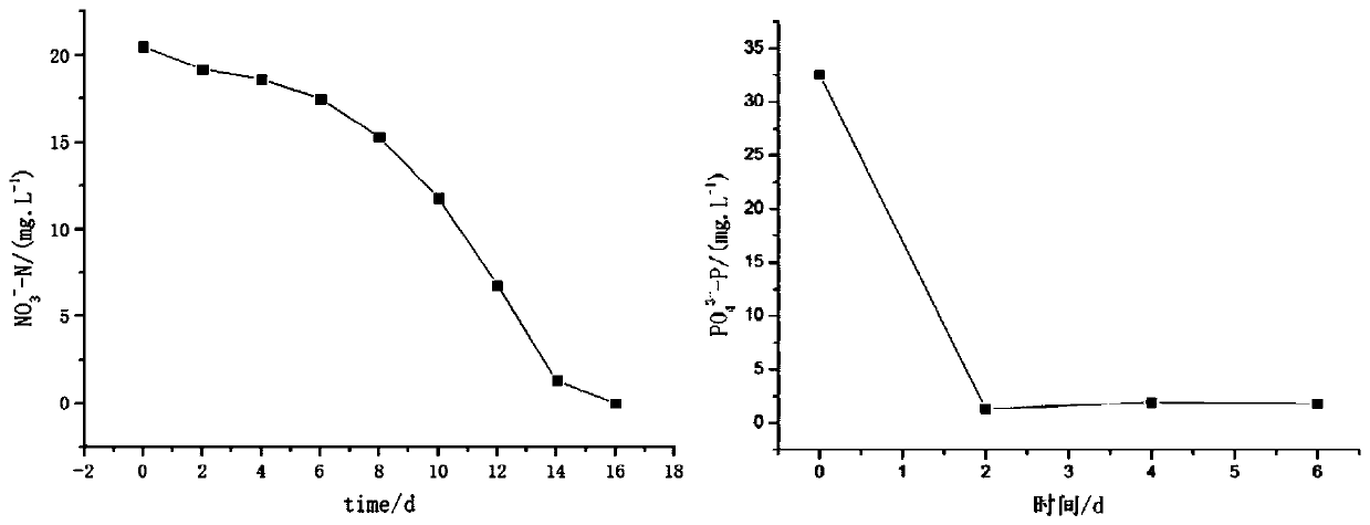 Lightweight slow-release nitrogen and phosphorus removal material and preparation method and application thereof