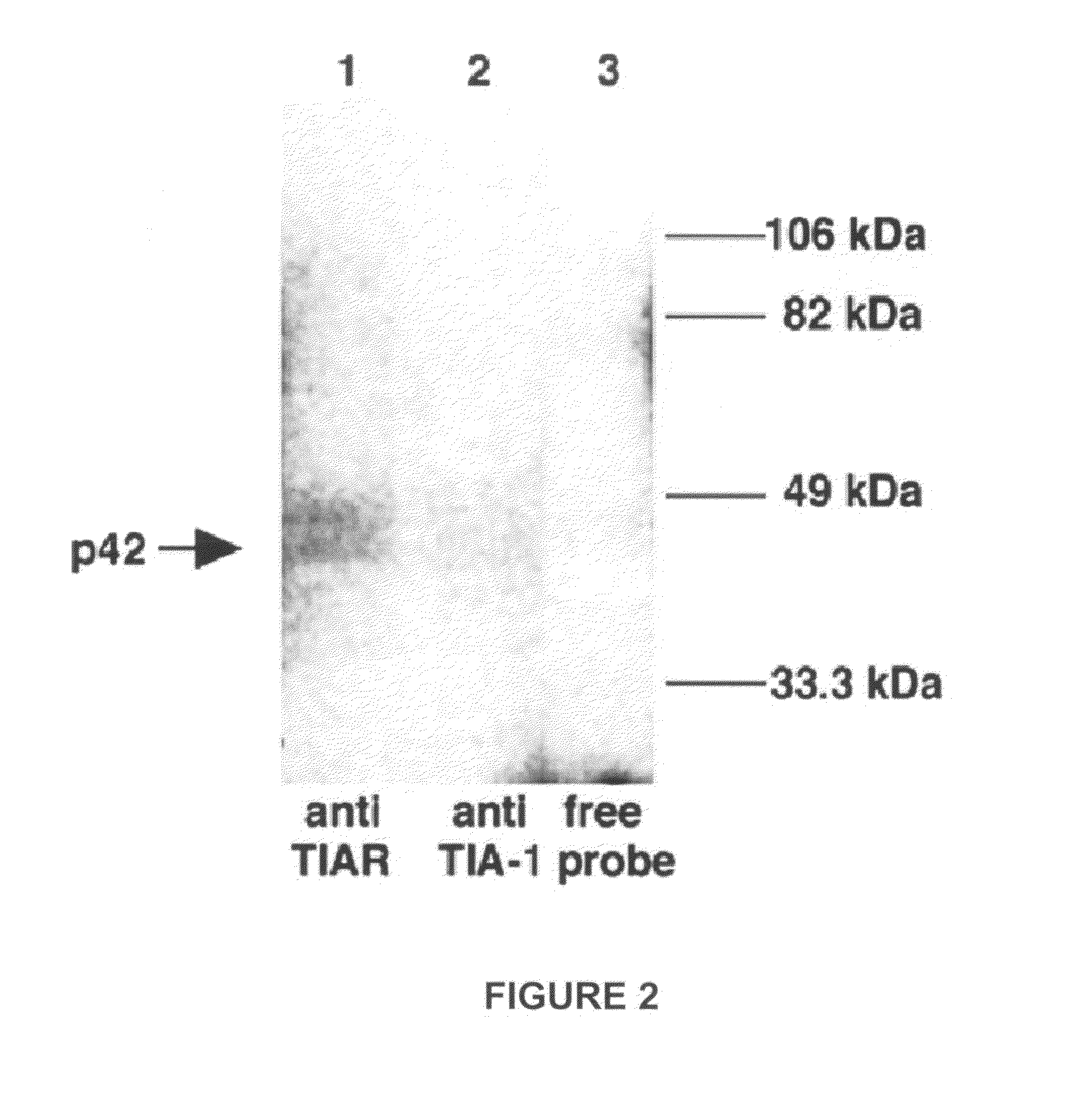 Methods and compositions for inhibition of viral replication