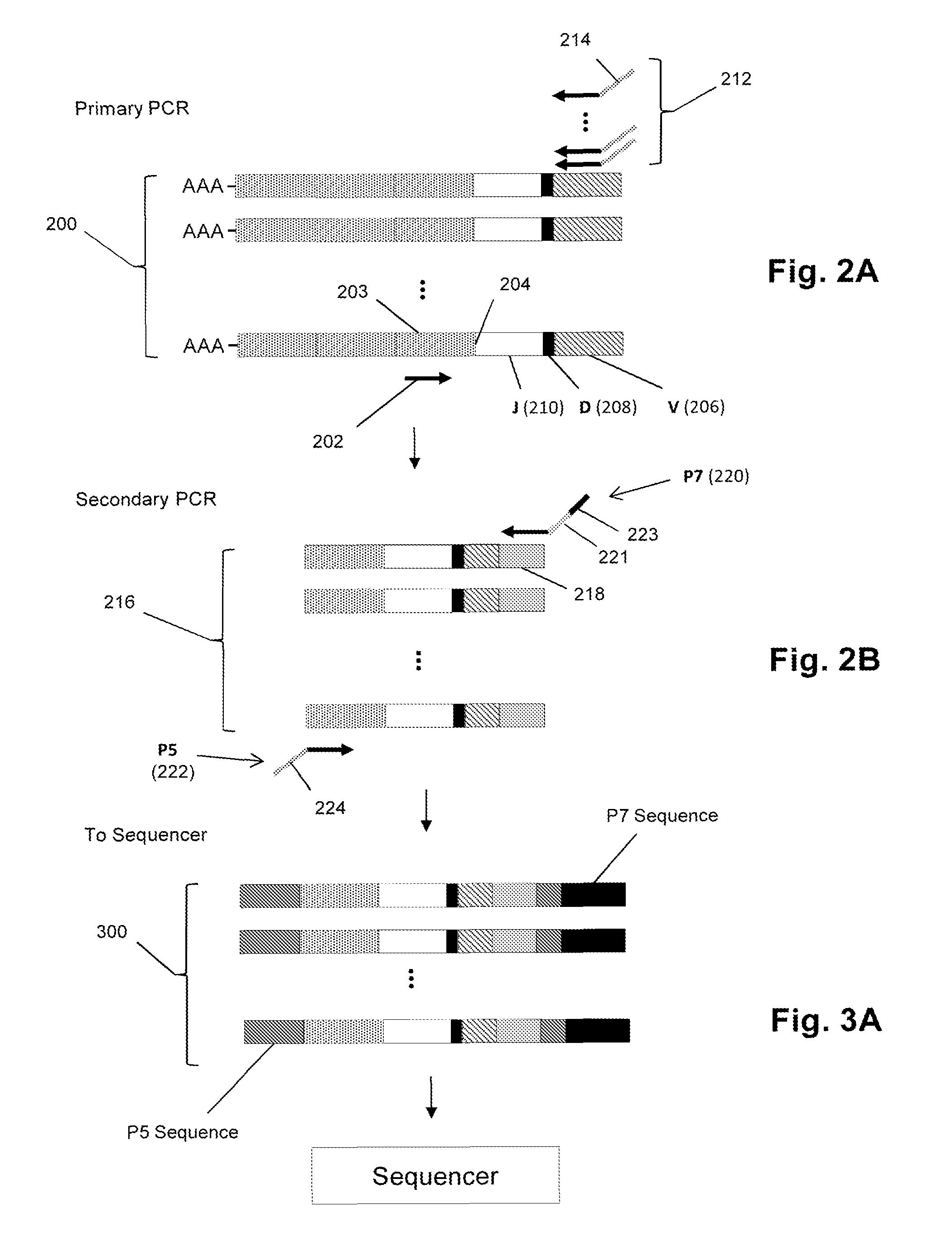 Sequence-based measures of immune response