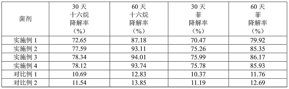 Bacillus aerophilus, microbial agent and applications of bacillus aerophilus and microbial agent