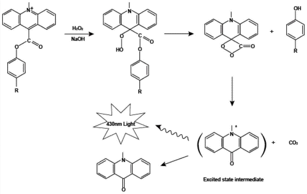 A method for the detection of HE4 by acridinium ester chemiluminescent immunology based on gold magnetic particles