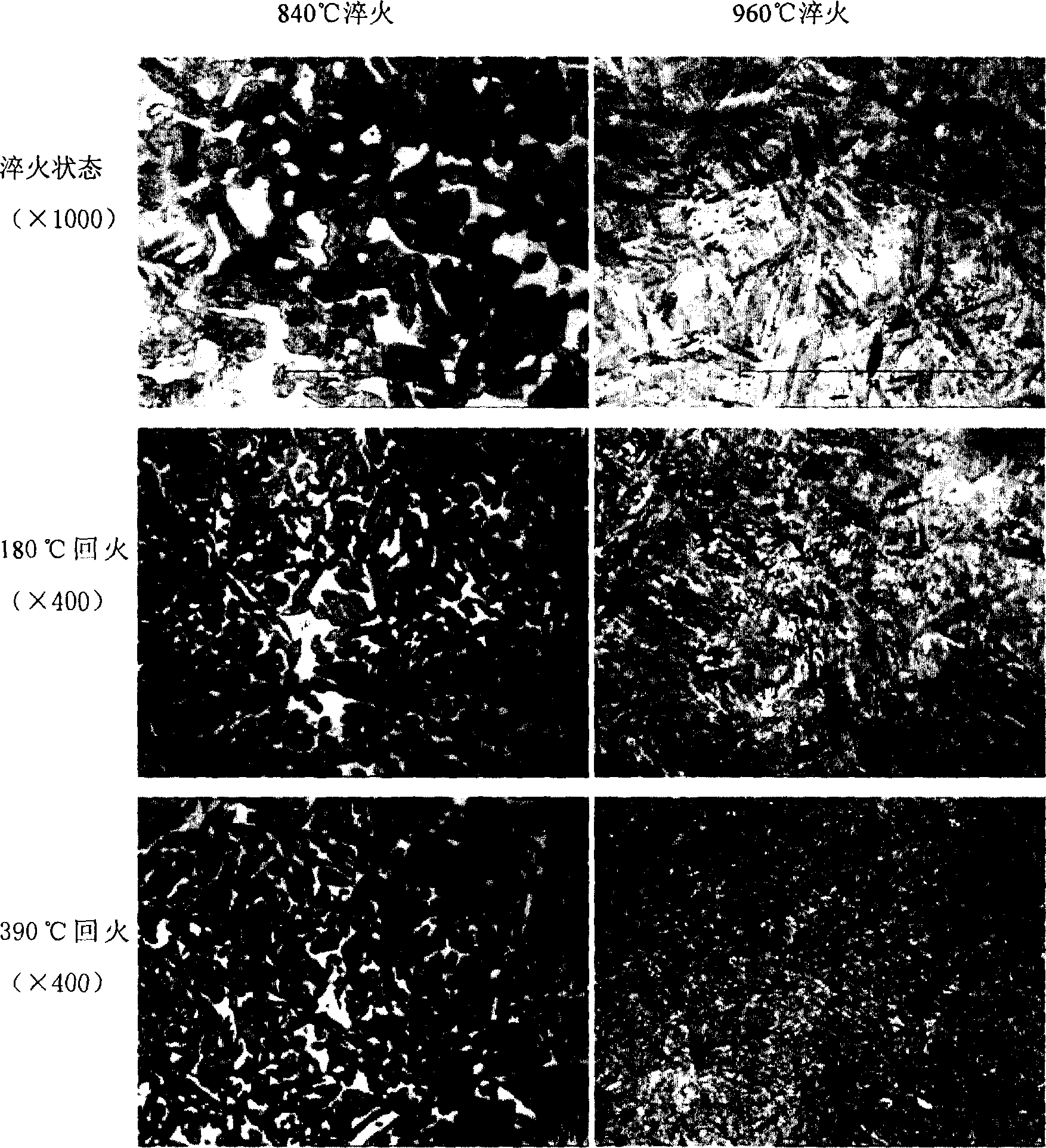 High elasticity and high strengh steel and its producing method