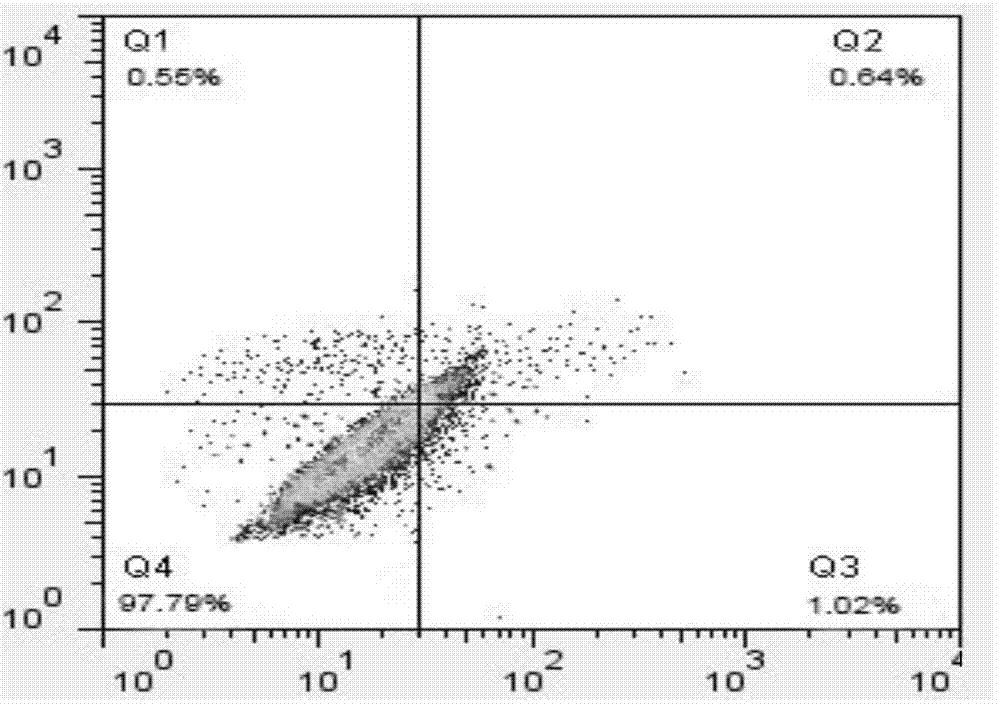 Method for establishing lipopolysaccharide (LPS)-induced milk cow mammary gland epithelial cell apoptosis model