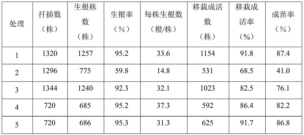 Heating foam particle sapling-growing box and application thereof