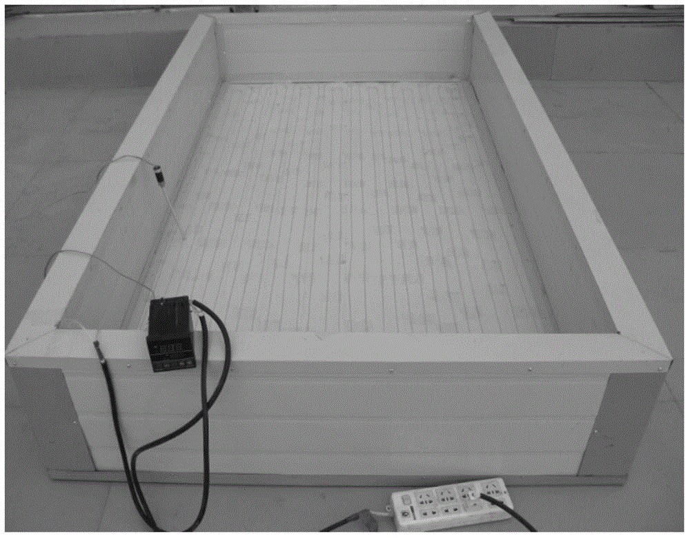 Heating foam particle sapling-growing box and application thereof