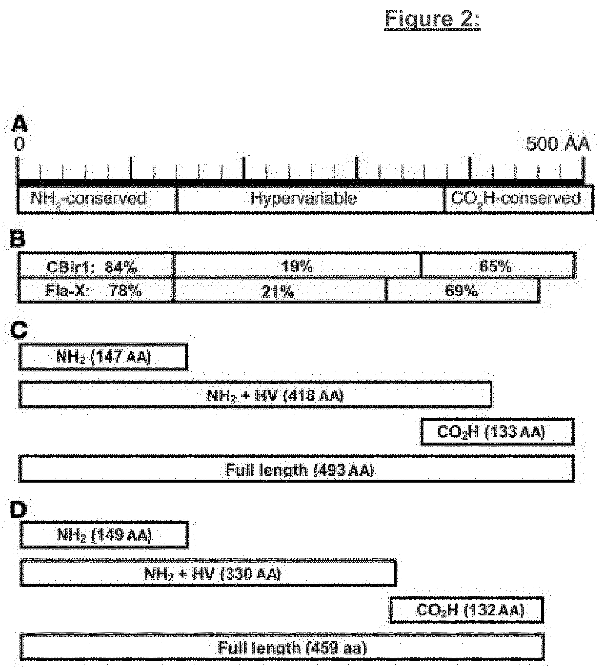 Diagnosis and treatment of inflammatory bowel disease