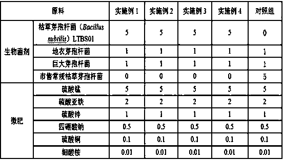 Cassava residue organic fertilizer with Bacillus subtilis and fermenting preparation method thereof