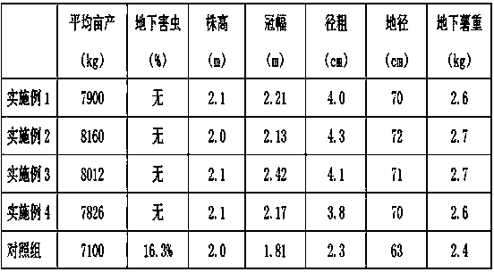 Cassava residue organic fertilizer with Bacillus subtilis and fermenting preparation method thereof