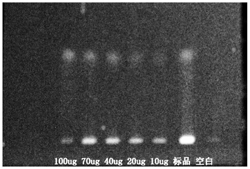 Preparation method of Corydalis bungeana reference substance