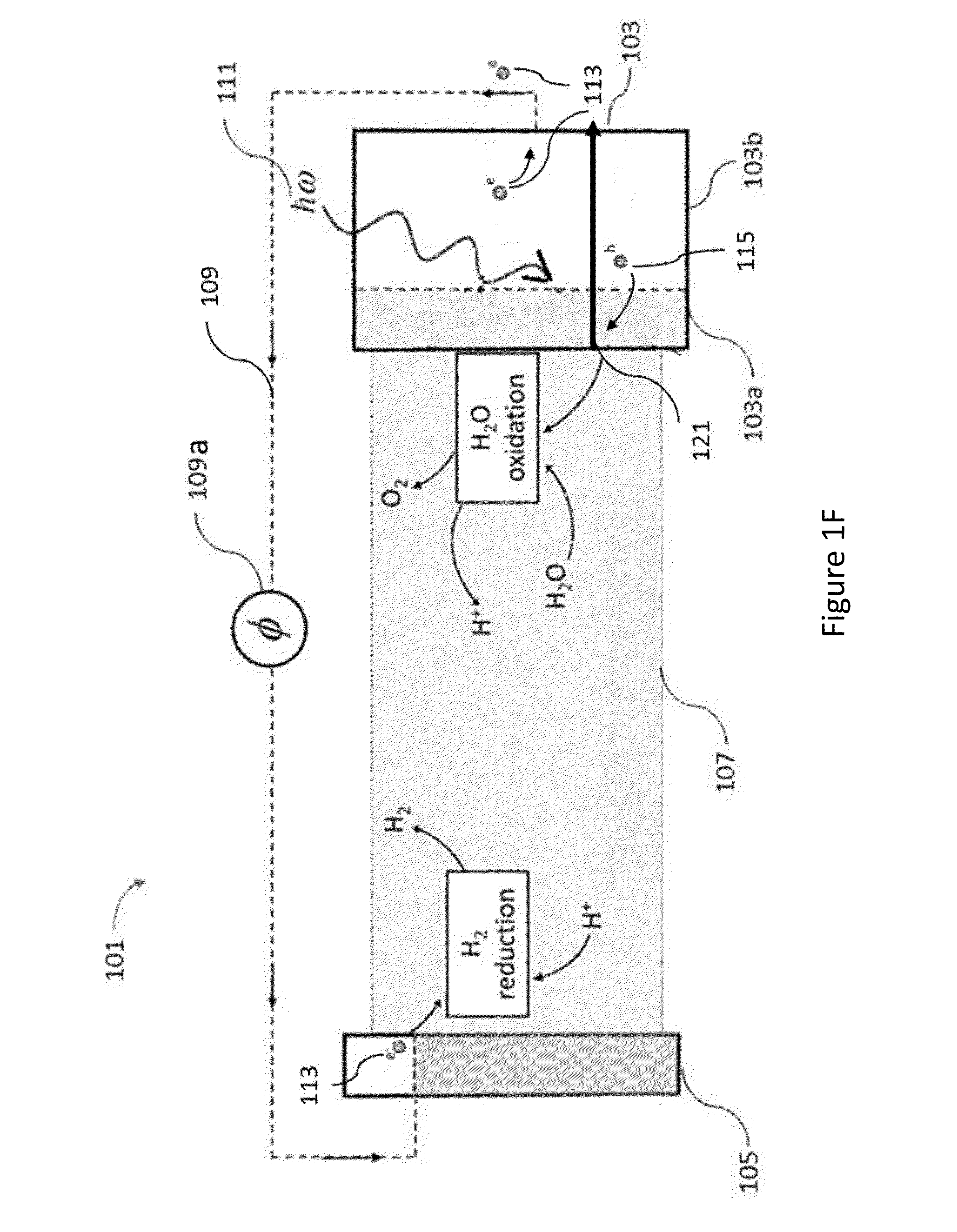 Non-uniform doping of photoelectrochemical cell electrodes