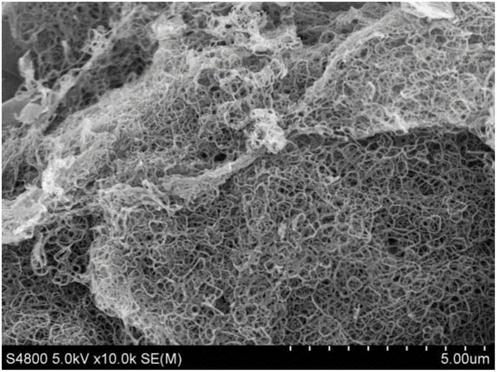 Preparing method of expanded graphite composite wrapped by crosslinking carbon fibers