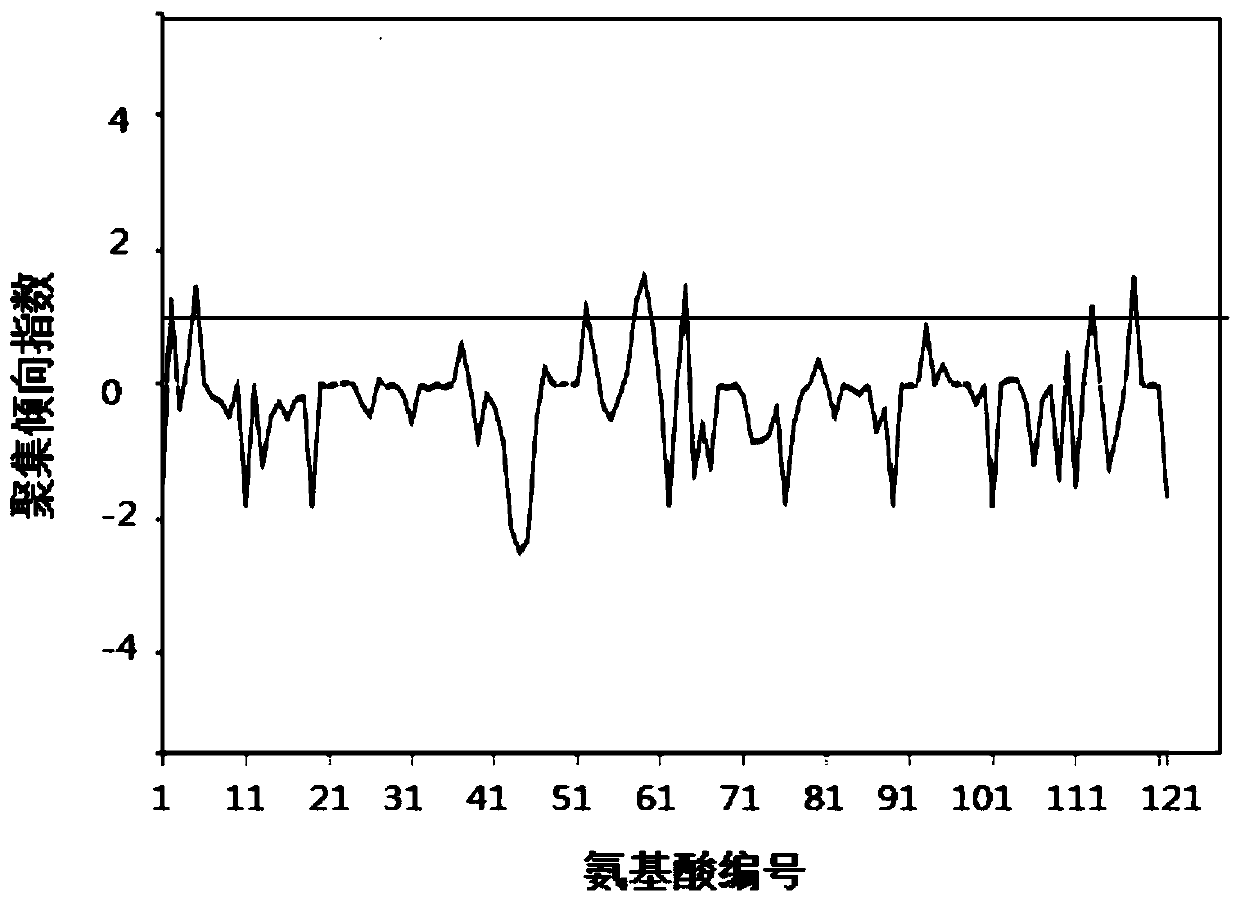 Protein drug auxiliary screening method