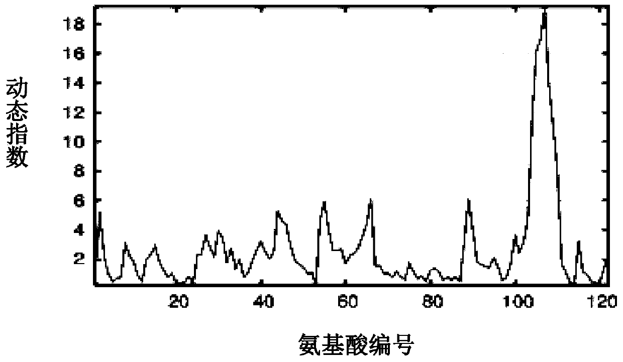 Protein drug auxiliary screening method