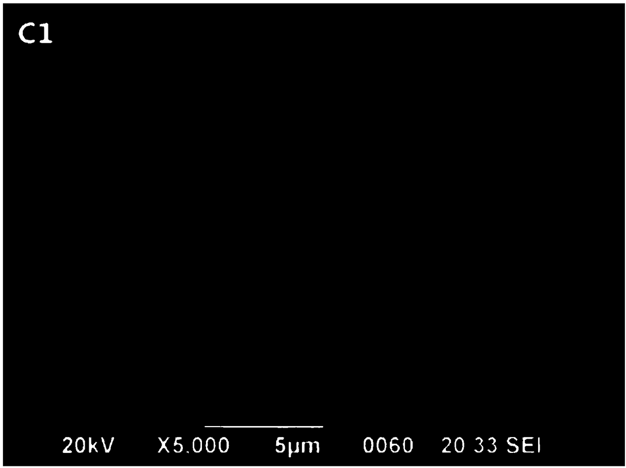 Environmentally friendly algaecide