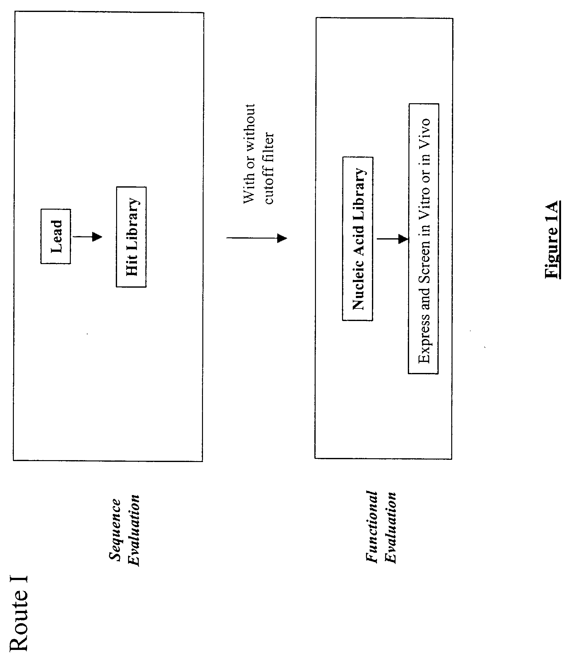 Generation and affinity maturation of antibody library in silico