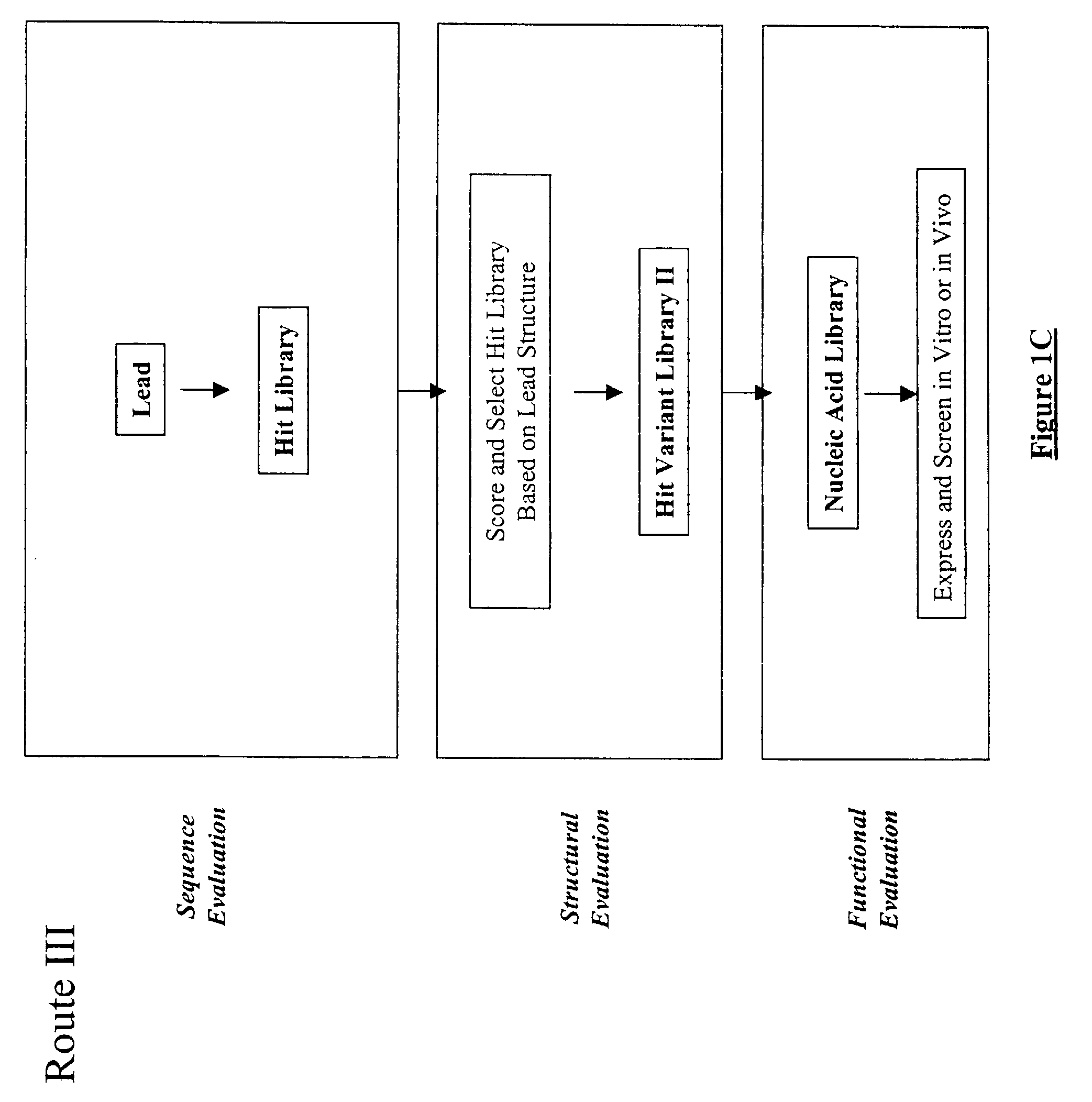 Generation and affinity maturation of antibody library in silico