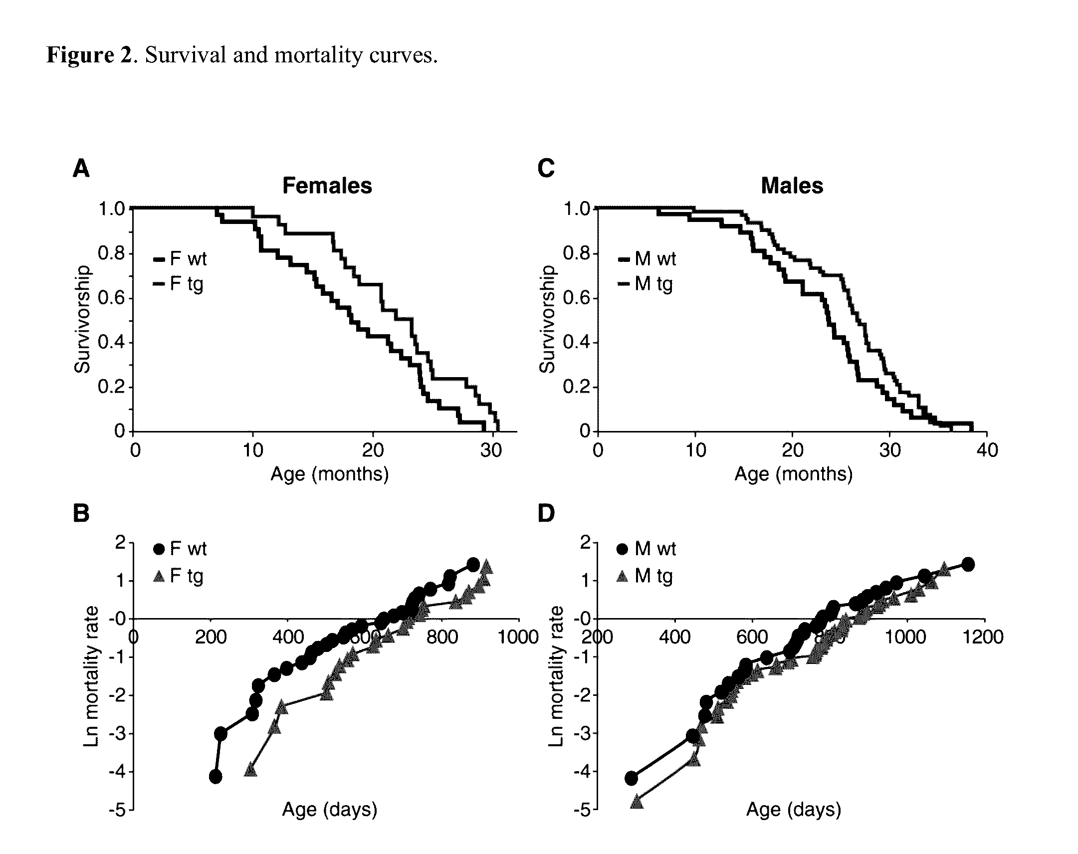 Compositions and methods for combination pharmacological treatments to induce a prolonged, mild decrease in core body temperature