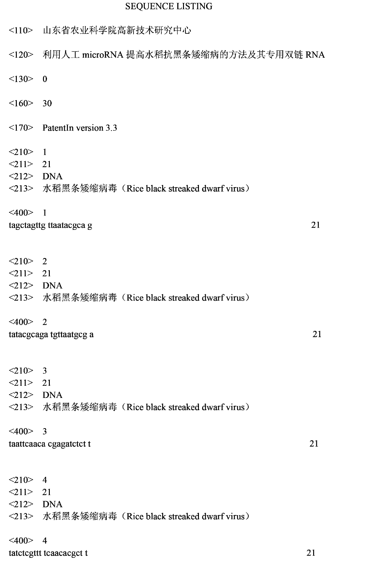 Method for enhancing black streaked dwarf resistance of paddy rice by using artificial microRNA (micro Ribonucleic Acid) and special double chain RNA thereof