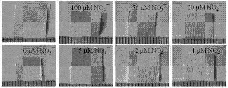 Preparation method of nitrite ion colorimetric sensing cellulose material