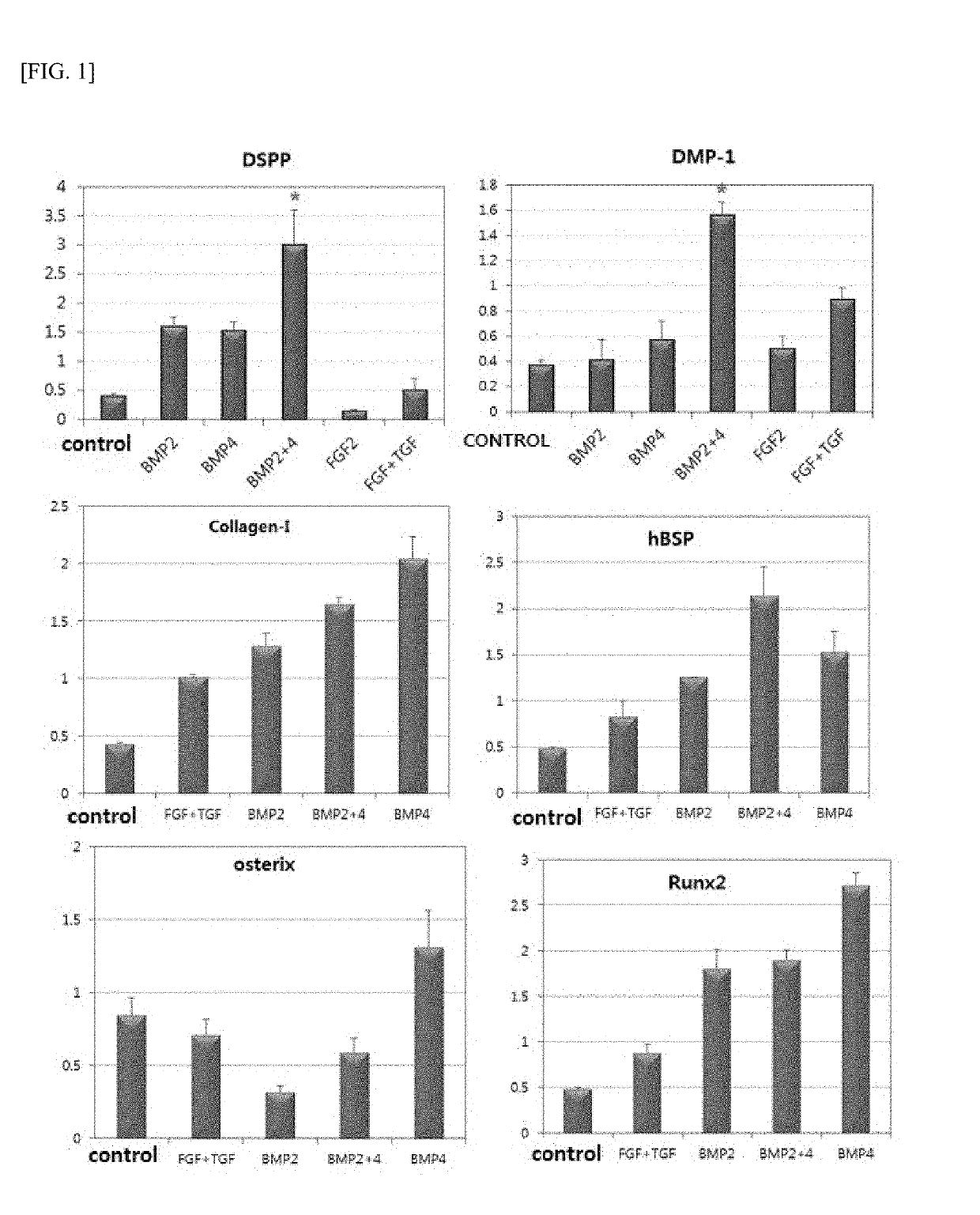 IgG TYPE MONOCLONAL ANTIBODIES SPECIFICALLY BINDING TO ODONTOBLAST SURFACE