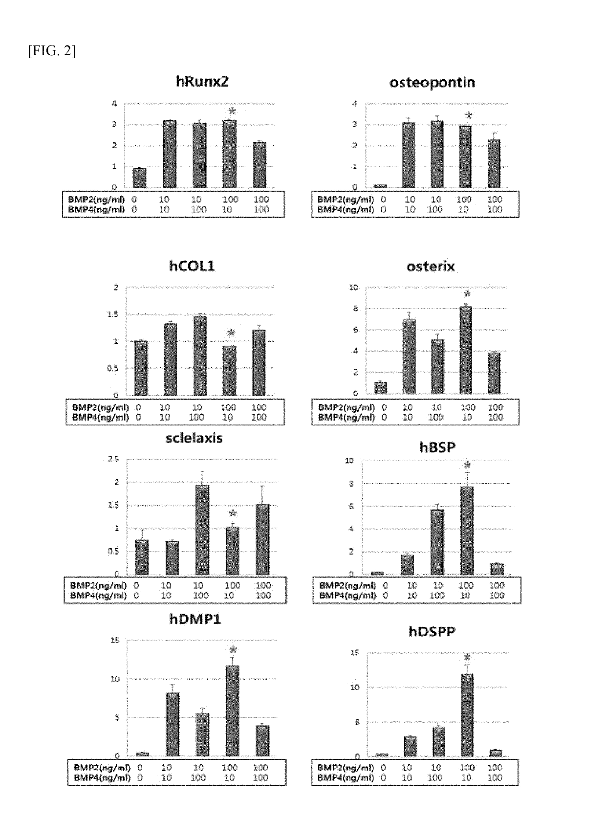 IgG TYPE MONOCLONAL ANTIBODIES SPECIFICALLY BINDING TO ODONTOBLAST SURFACE