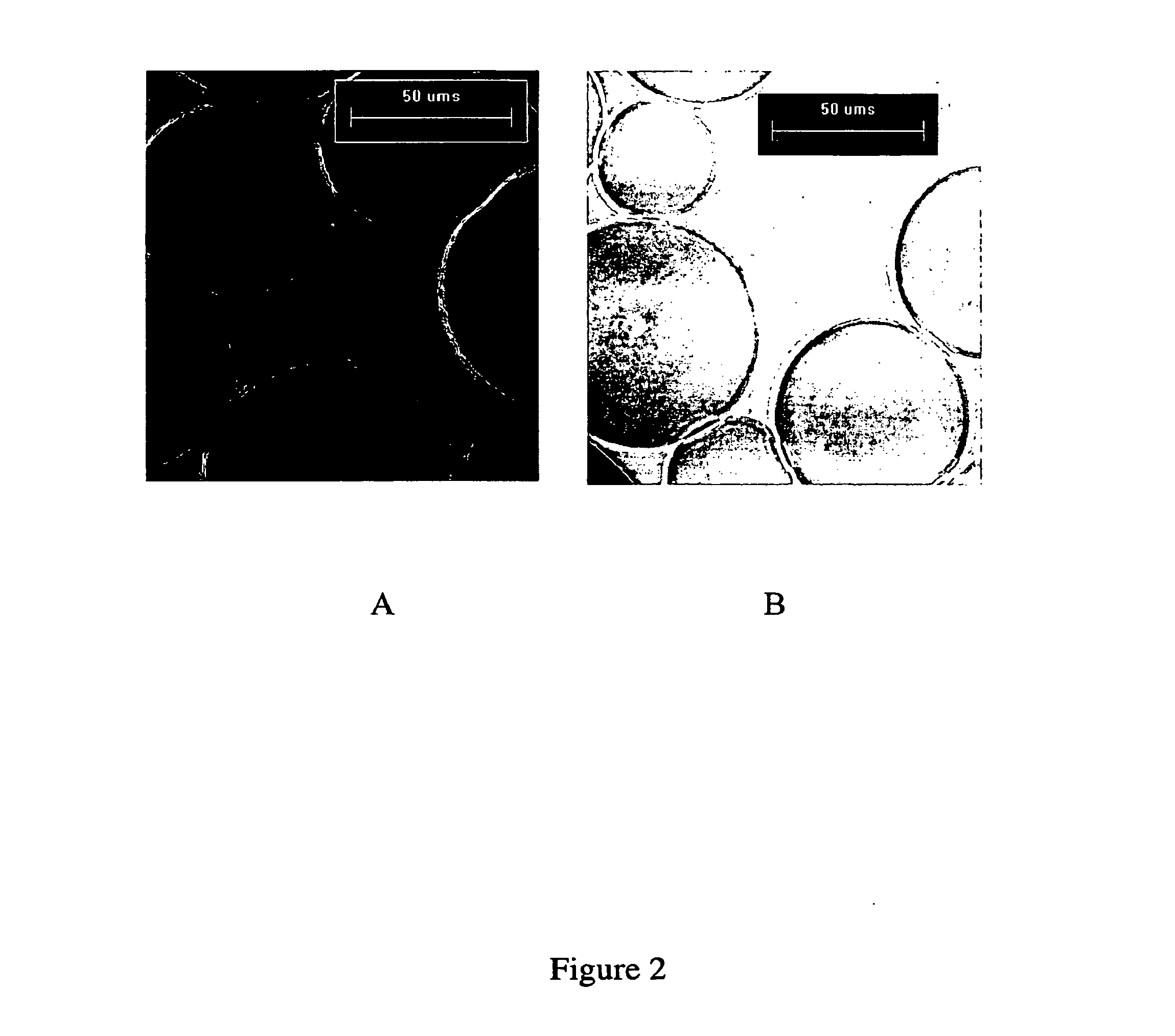 Receptor-Based Blood Detoxification System