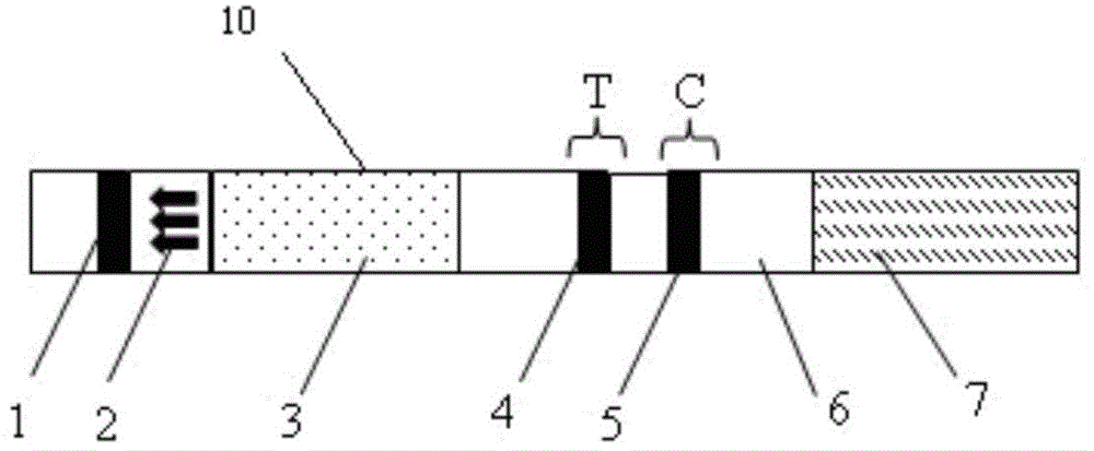 A combined detection kit for luteinizing hormone and bacterial vaginosis