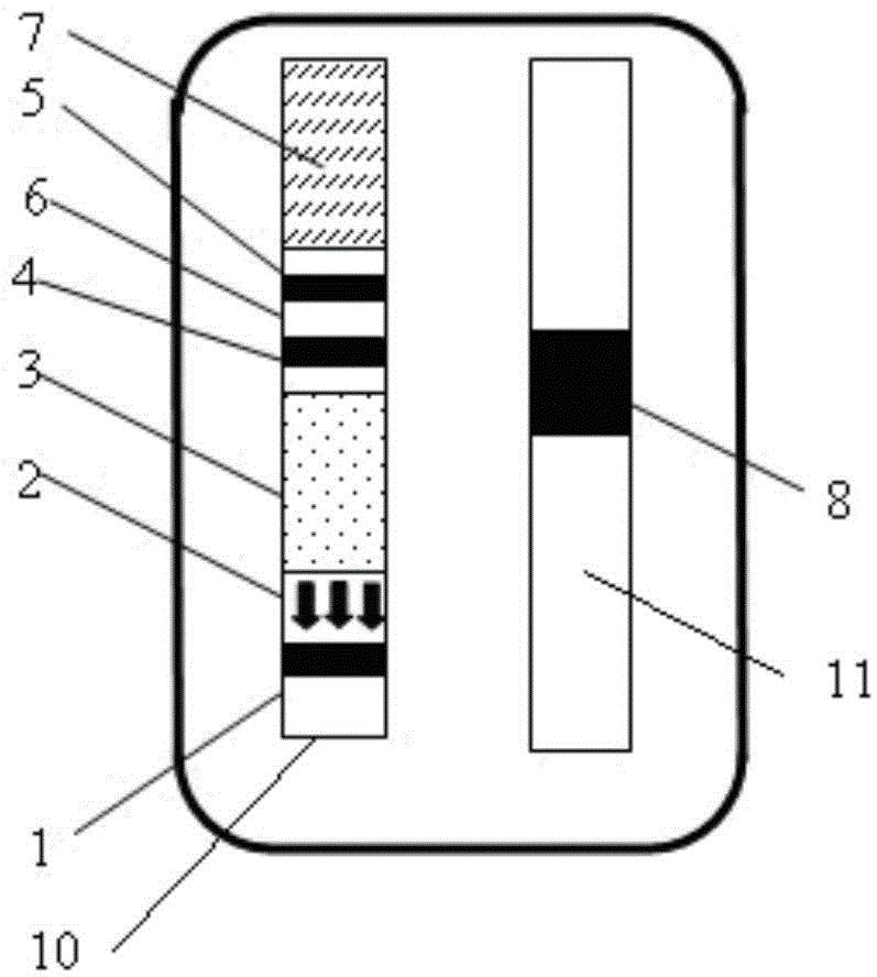 A combined detection kit for luteinizing hormone and bacterial vaginosis