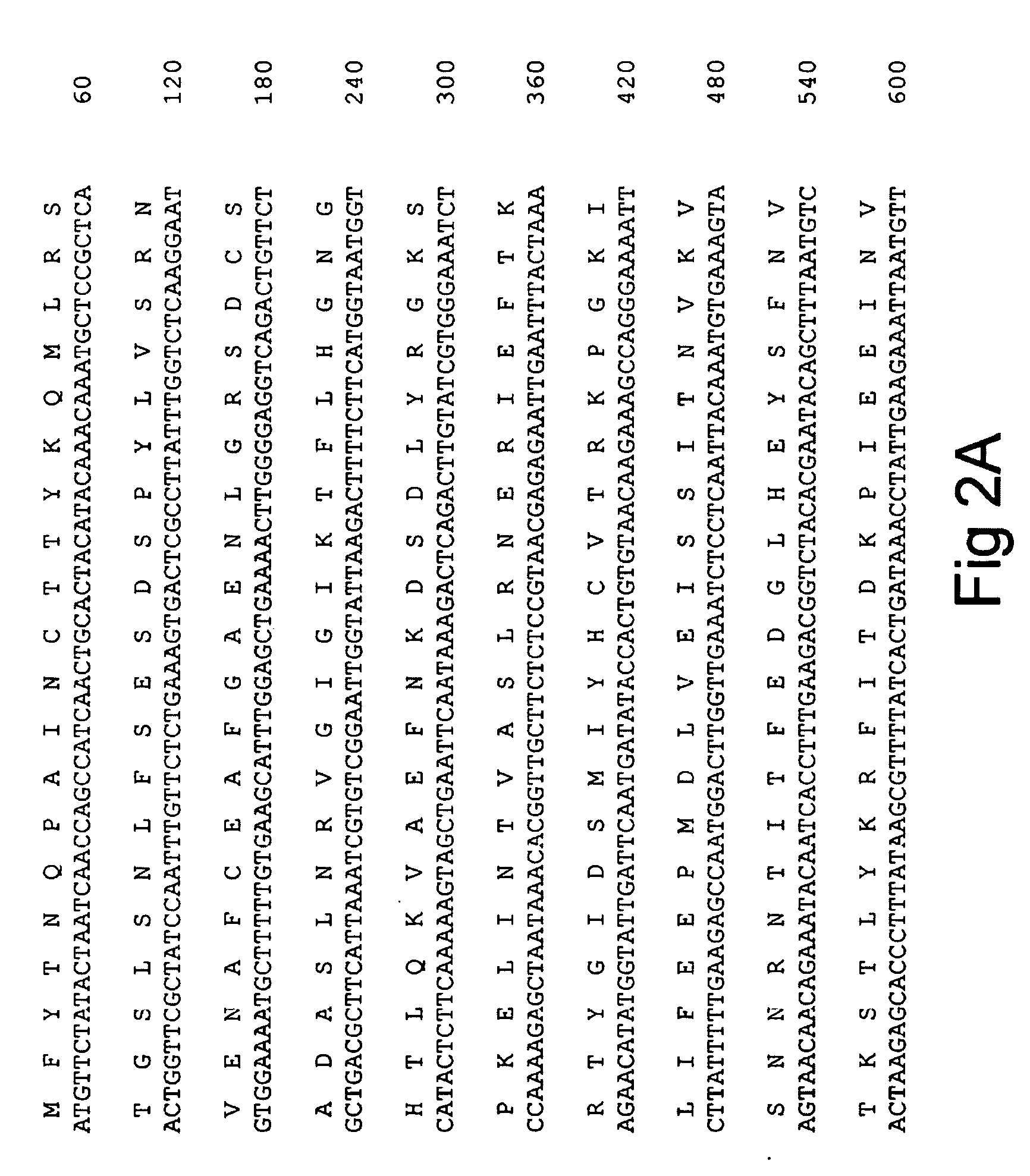 Methods of obtaining genetic competence in bacillus cells