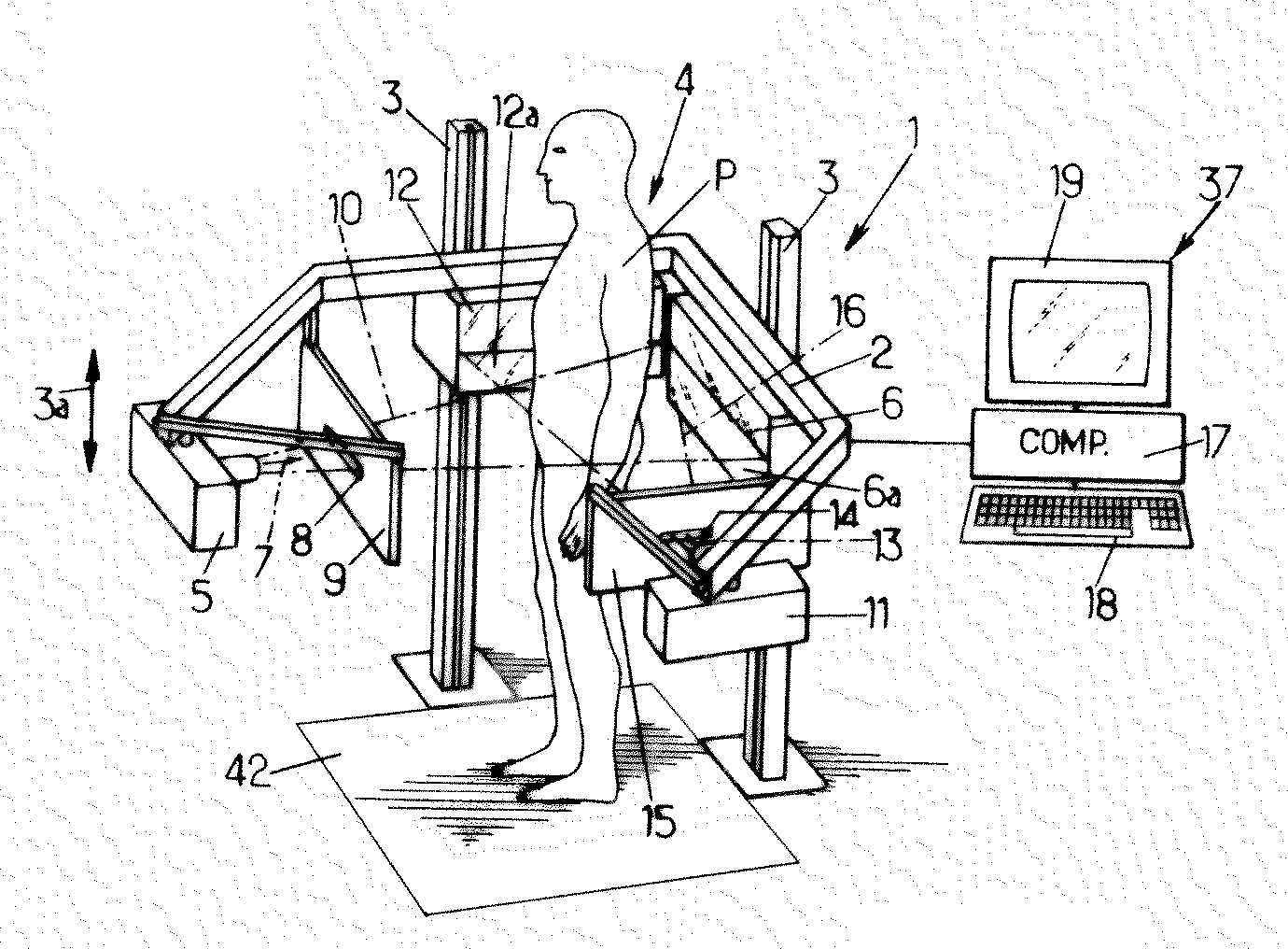 Measurement of geometric quantities intrinsic to an anatomical system