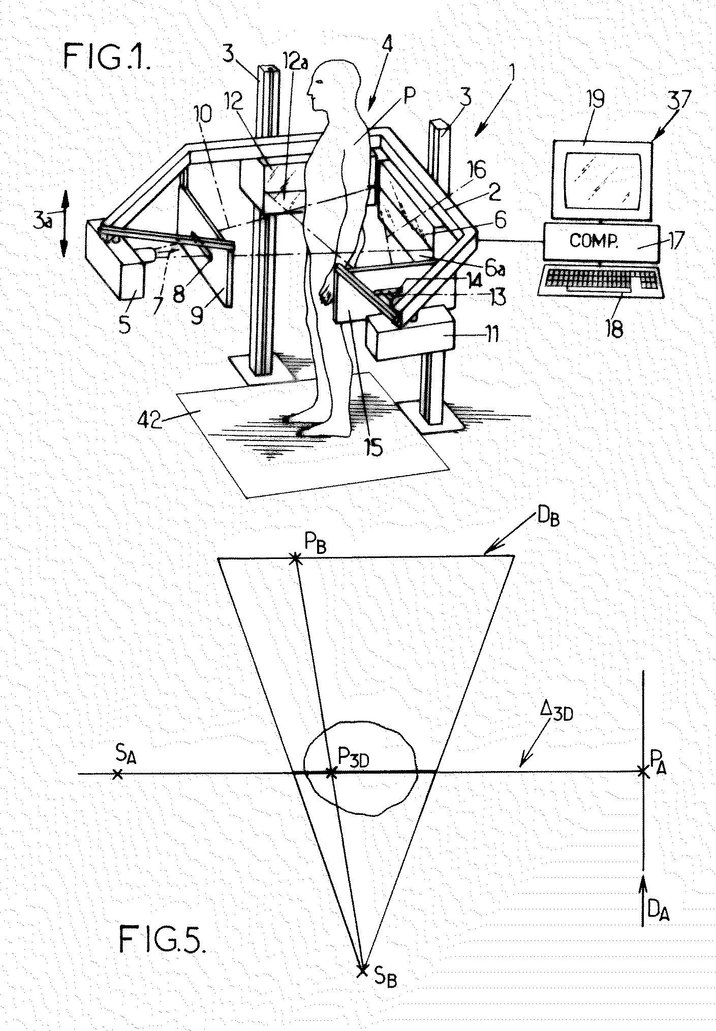 Measurement of geometric quantities intrinsic to an anatomical system