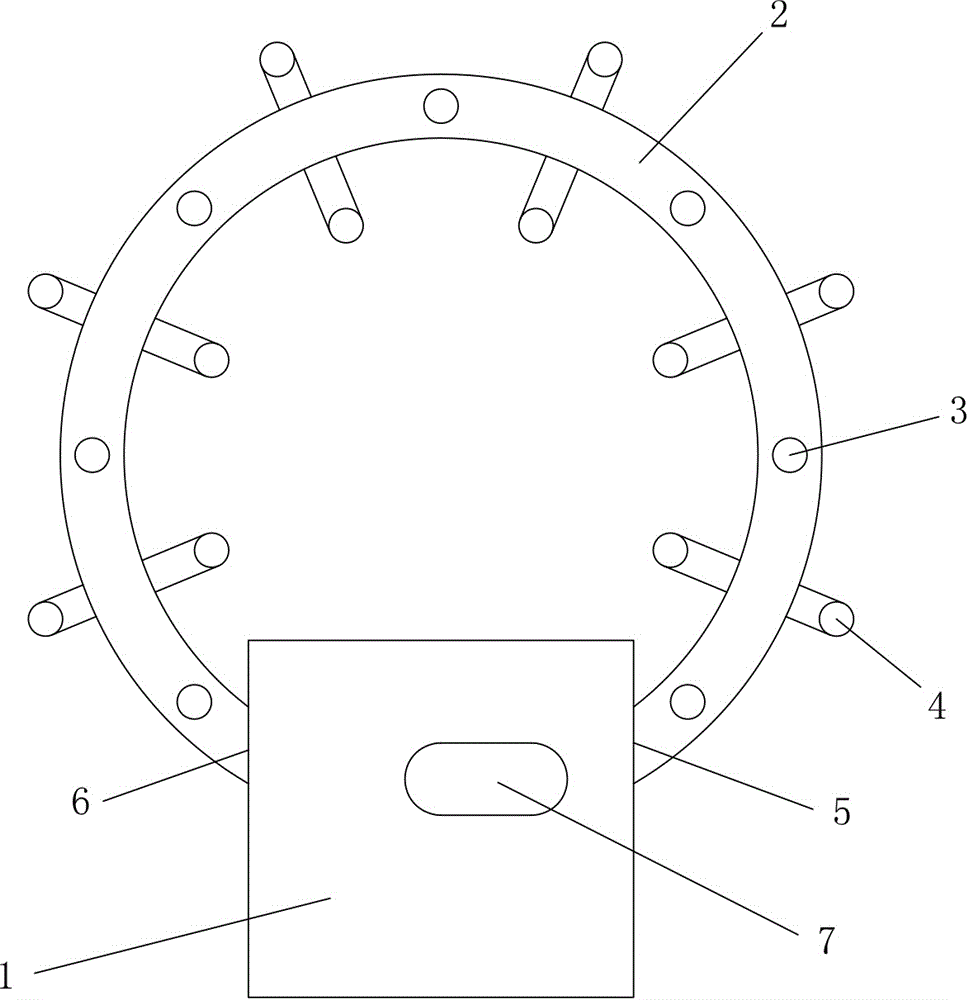 Mudskipper catching device