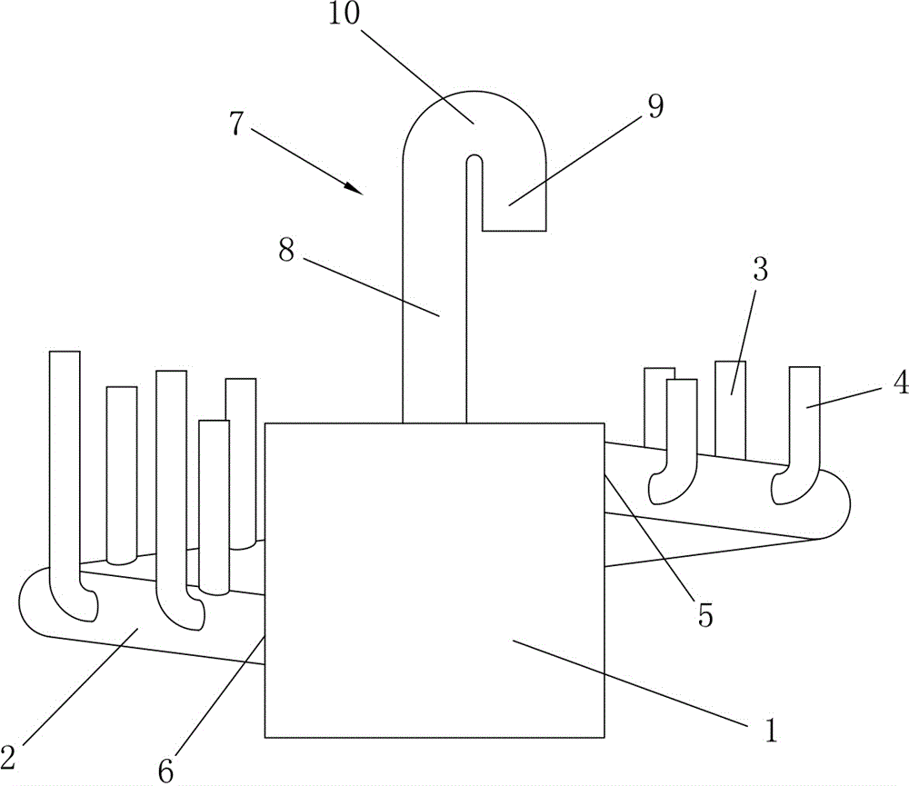 Mudskipper catching device