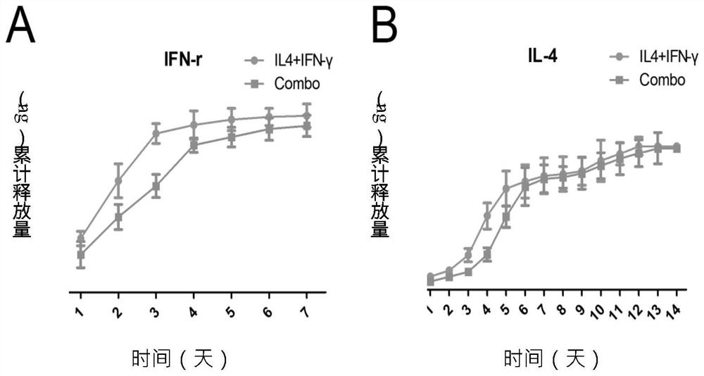 Tissue-engineered bone scaffold for treating infectious large bone defects as well as preparation method and application of tissue-engineered bone scaffold